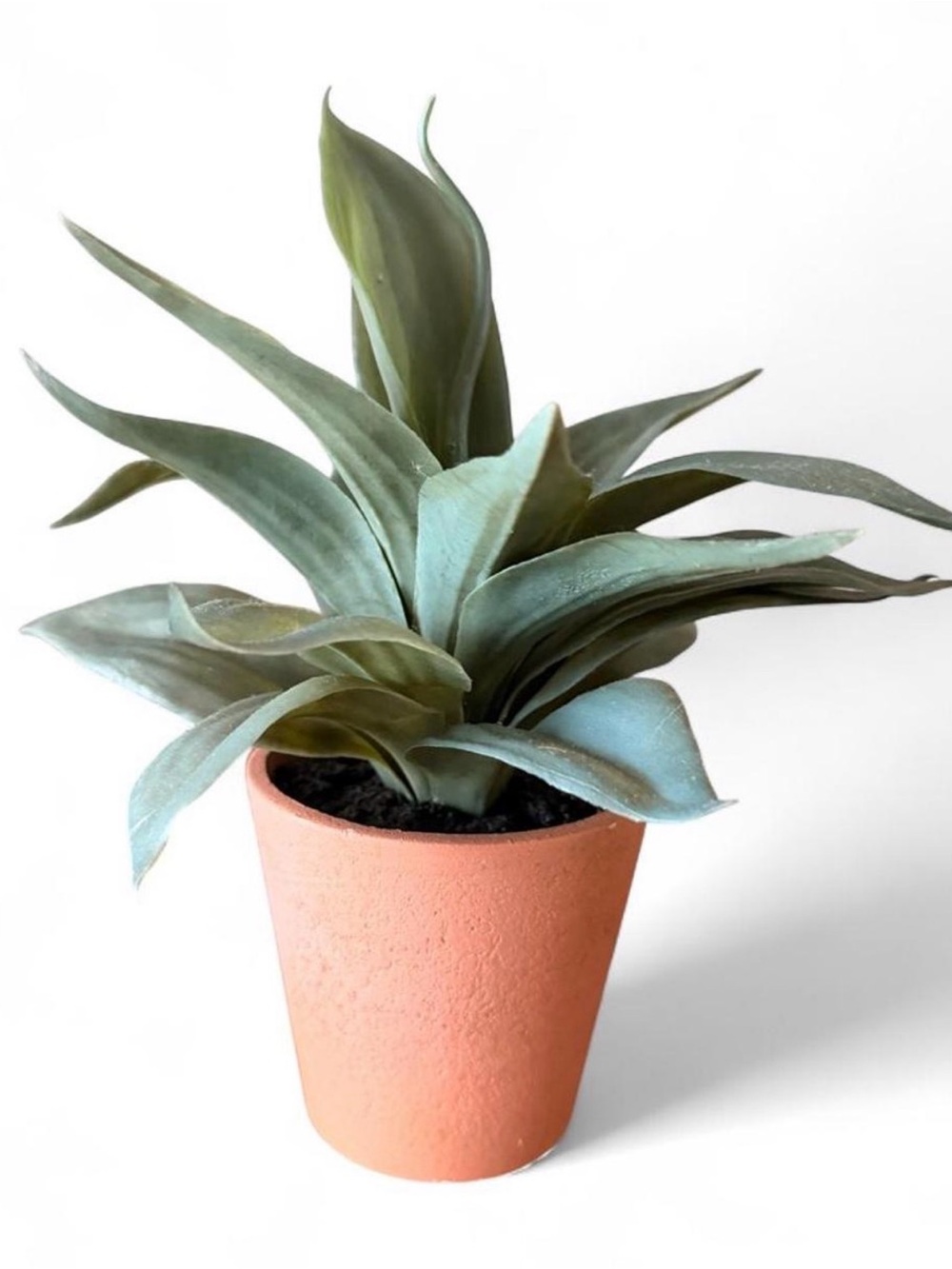 Faux Agave Succulent in Terracotta Pot